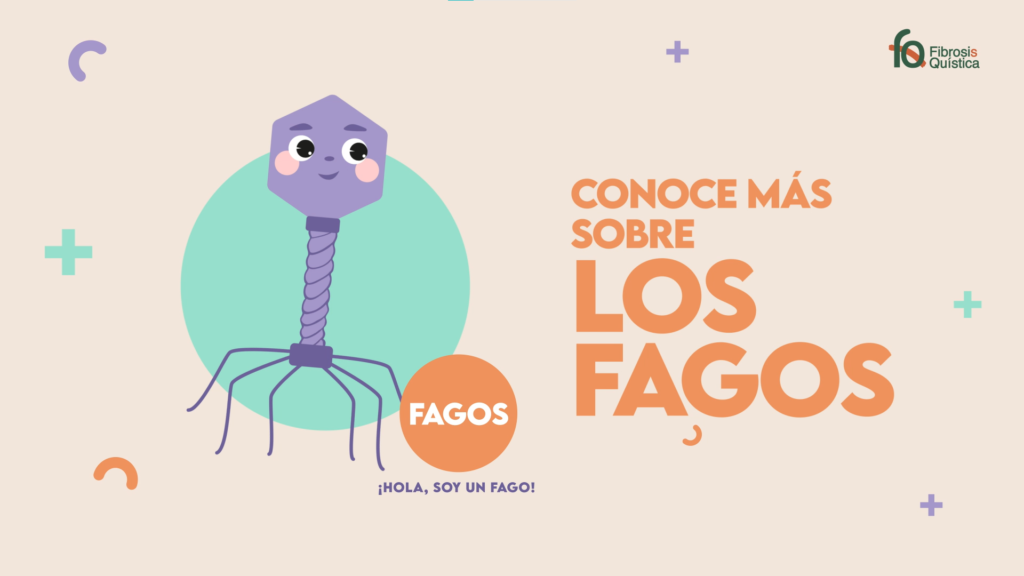 Pantalla conoce mas sobre fagos